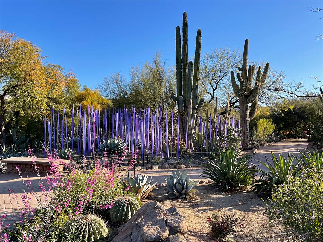 Desert Botanical Garden